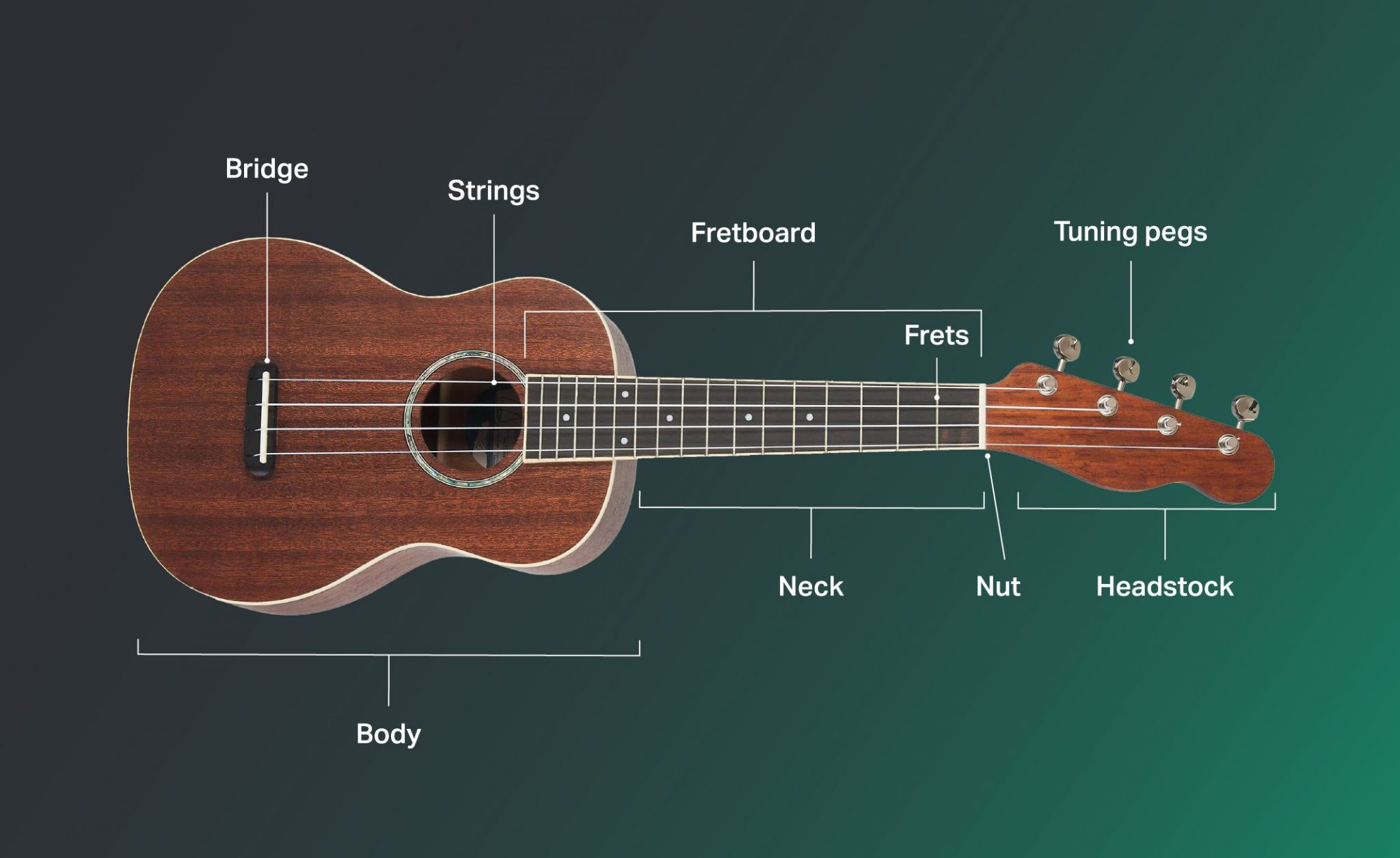 How to Play Ukulele Learn Ukulele in 8 Steps Yousician